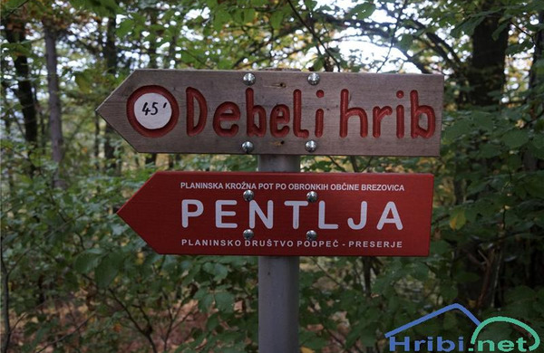 Že poznate krožno planinsko pot Pentlja?