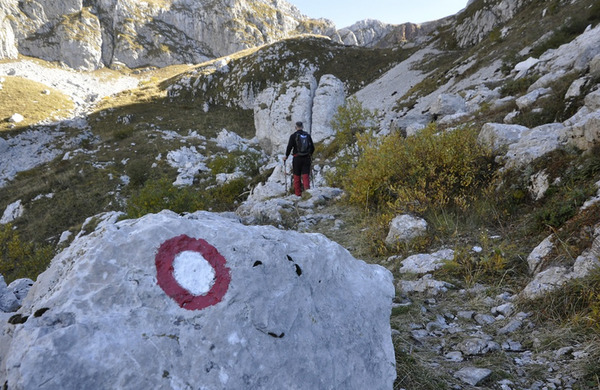 100 let tihe rdeče-bele spremljevalke planincev, ki nikoli ne zataji